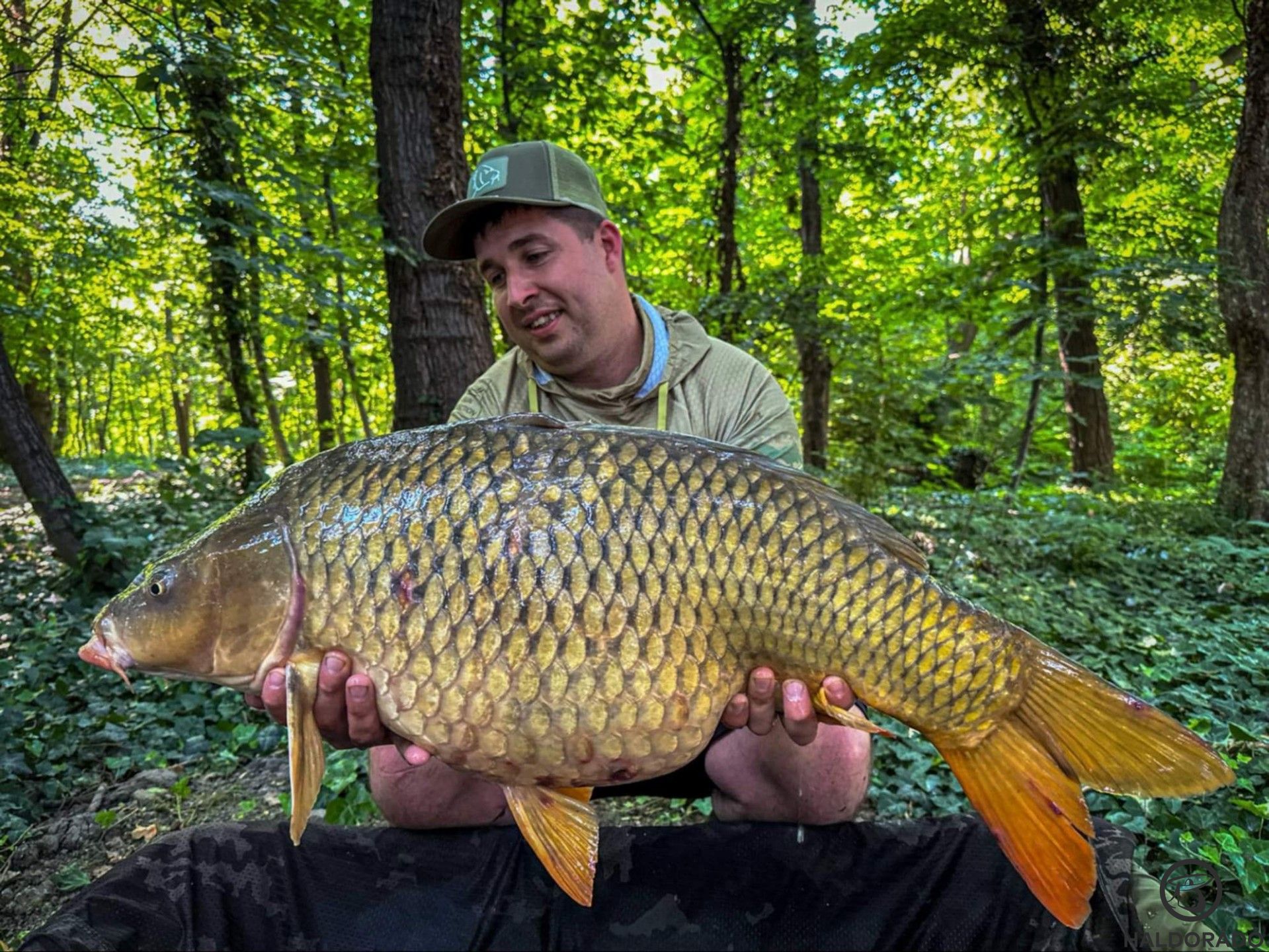 Hogyan telt a 2025-ös esztendő a vízparton és azon kívül