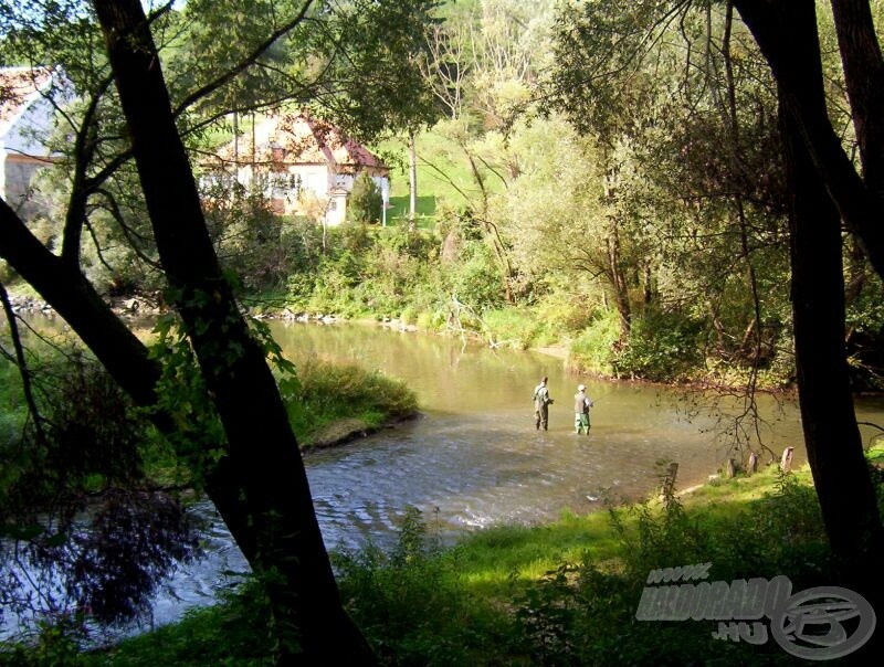 A második napon, felügyelet mellett, már be mertem állni a patak közepére