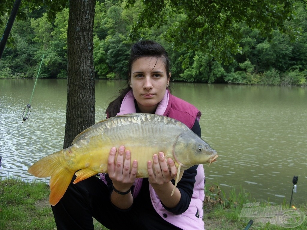 4,5 kg-os tükörponty a bűvös csalira