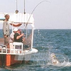 A csónakos horgászatok külön élményt jelentenek.