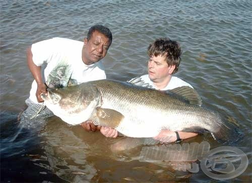 A túra legnagyobb, 60 kg-os sügere