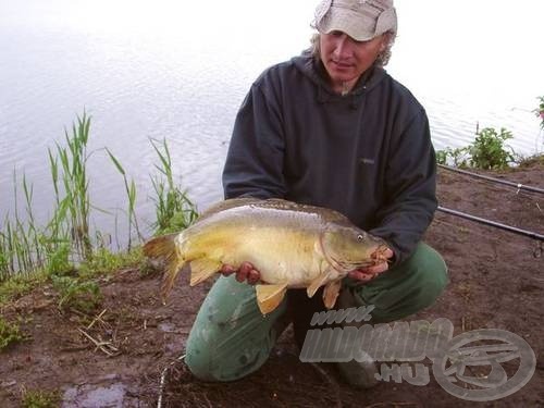 Gyönyörű egészséges példány, közel a 7 kilóhoz 