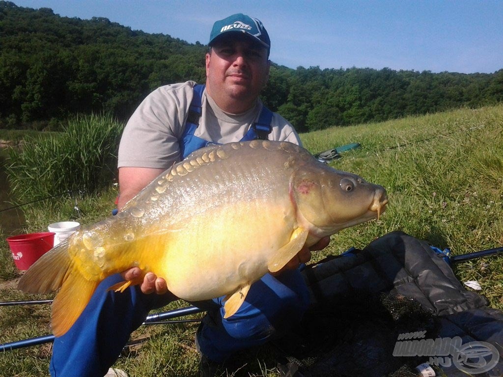 A 10,18-as egészséges, pelletevő ponty