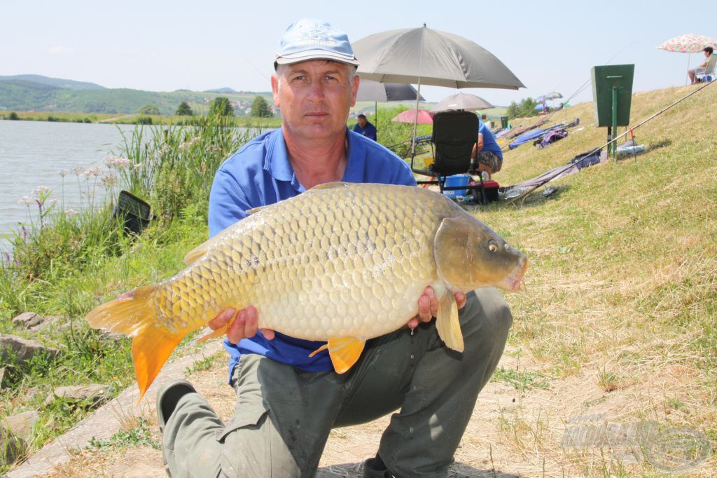 Sisa József egy 11 kg feletti hallal