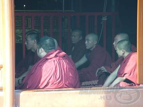 … és a buddhista papok tanulás közben