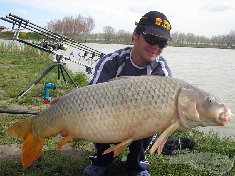 A horgásztúrám második 10 feletti pikkelyese, 11,33 kg. A gyönyörűség egy szem CSL-be mártott E. P. (főzött) bojlira jött, amit pasztával láttam el a bevetés előtt. Ezzel a hallal átléptem a számomra döbbenetes, 150 kilós összsúlyt is