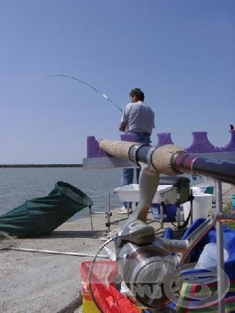 A legnépszerűbb finomszerelékes horgászmódszer hívei mérik össze majd tudásukat