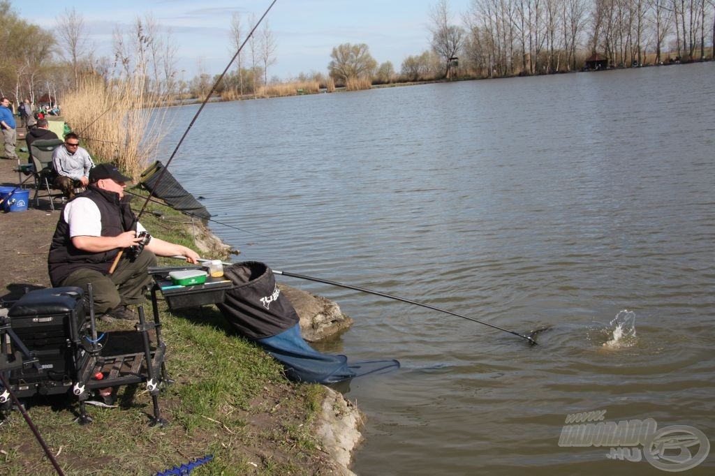 Horváth Csaba 4. hala. Bőven 10 kg felett jár ő is.