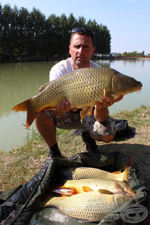 Varga László, az RV Carp Team versenyzője ügyes horgászattal nyerte meg szektorát