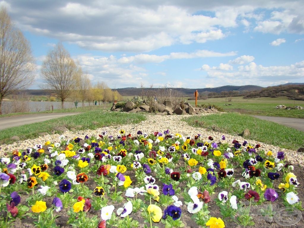 Köszönet Mindenkinek, a tavasznak is