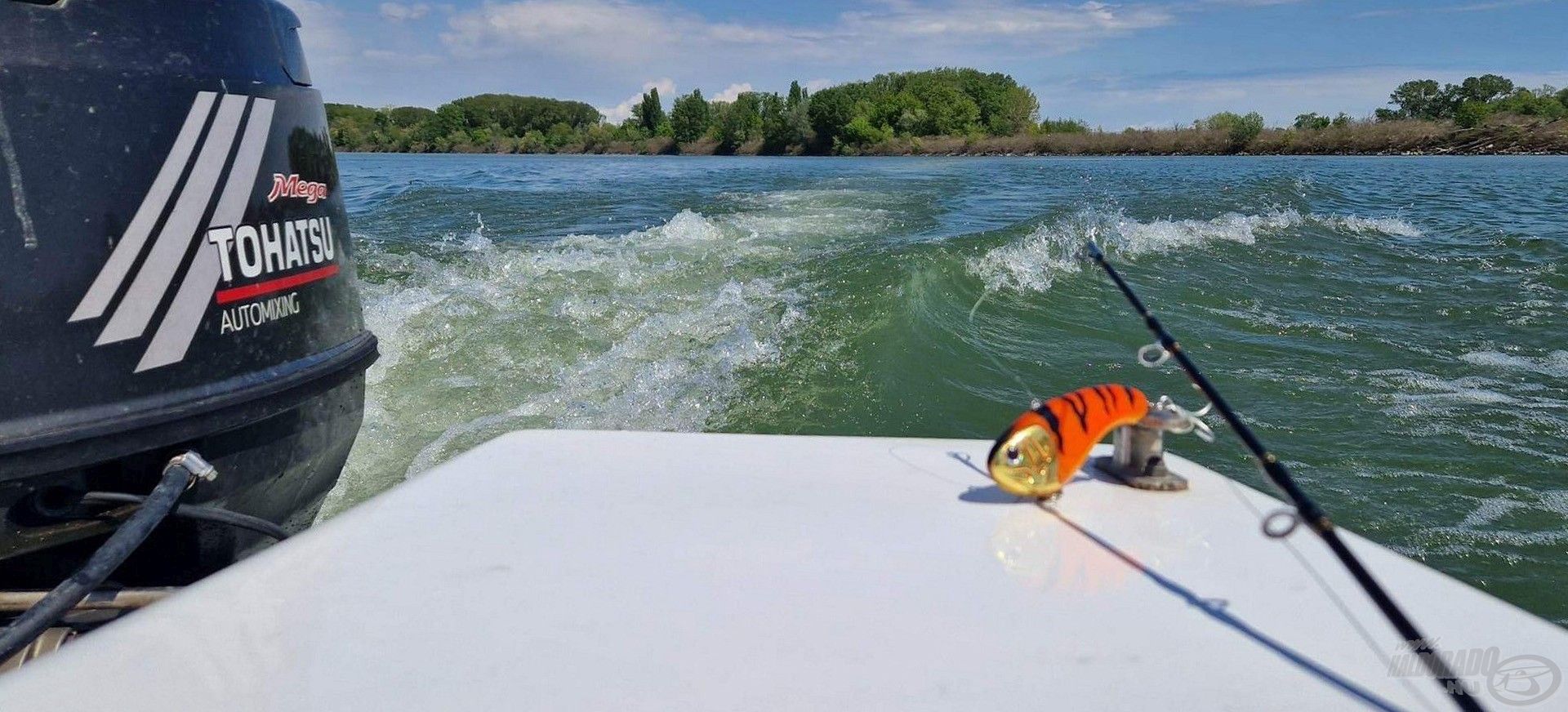 A Berkley Flatt Shad 96XH csalik itt is népszerűek voltak a harcsák körében