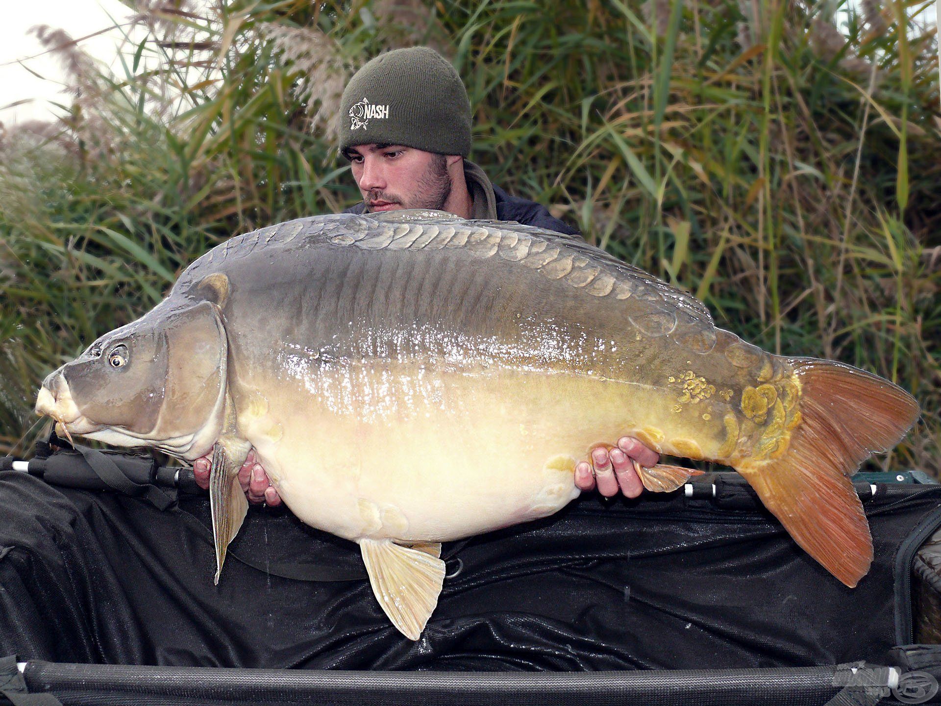 … és 21,20 kg-os iszaplakó