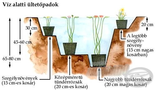 Párkány-kialakítás a növényeknek