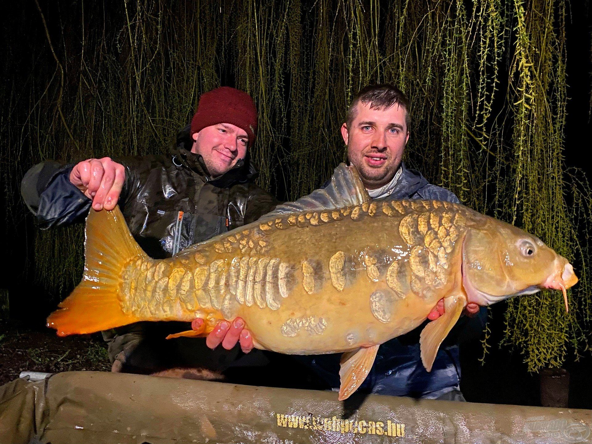 A következő kevéssel 20 kilogramm alatt mérlegelt