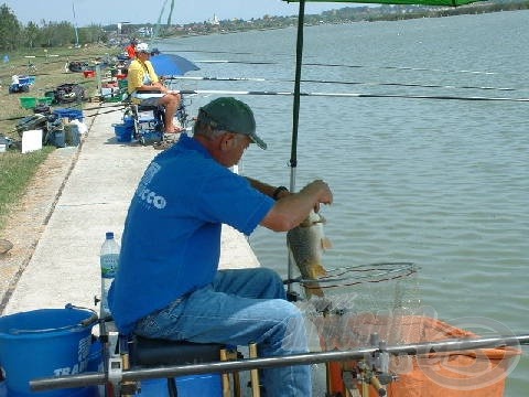 Katus Gyulát az első fordulóban elkerülték a pontyok