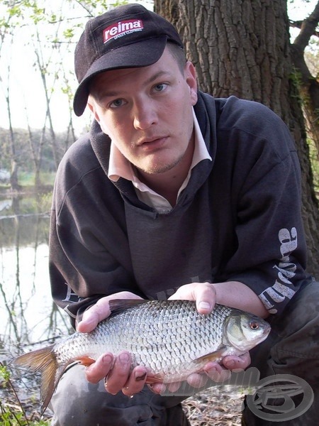 Vajon mennyi időnek kellett eltelnie, hány ellenséget kellett túlélnie ennek a gyönyörű bodorkának, hogy ekkorára fejlődjön?