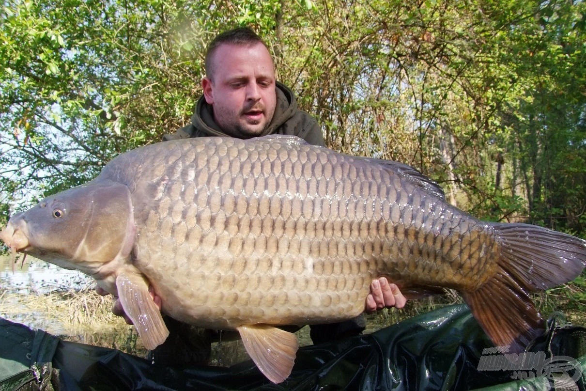 A 30 kg feletti tőponty is kijött a kombi előkével!