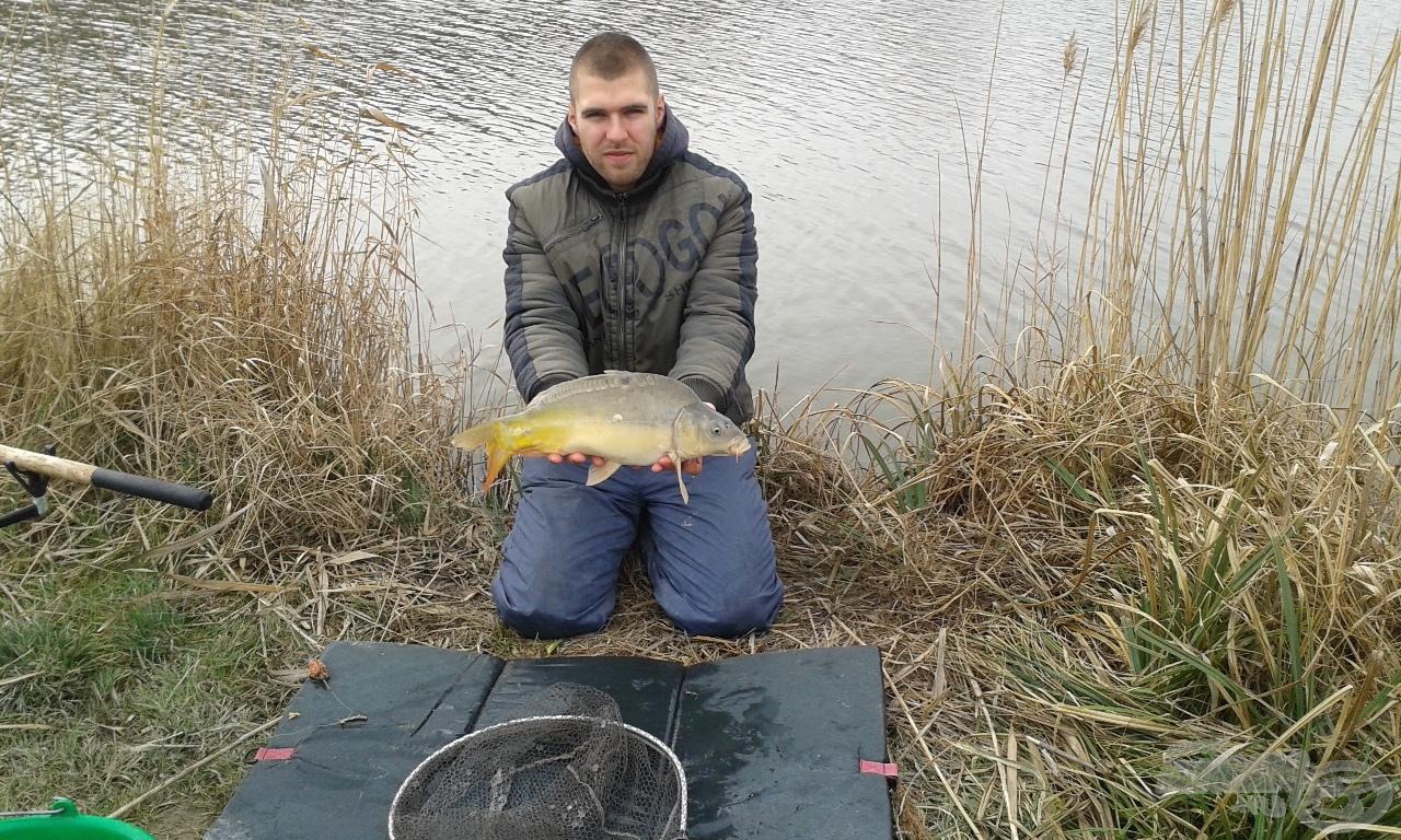 Gyors fényképezést követően ment is vissza éltető elemébe