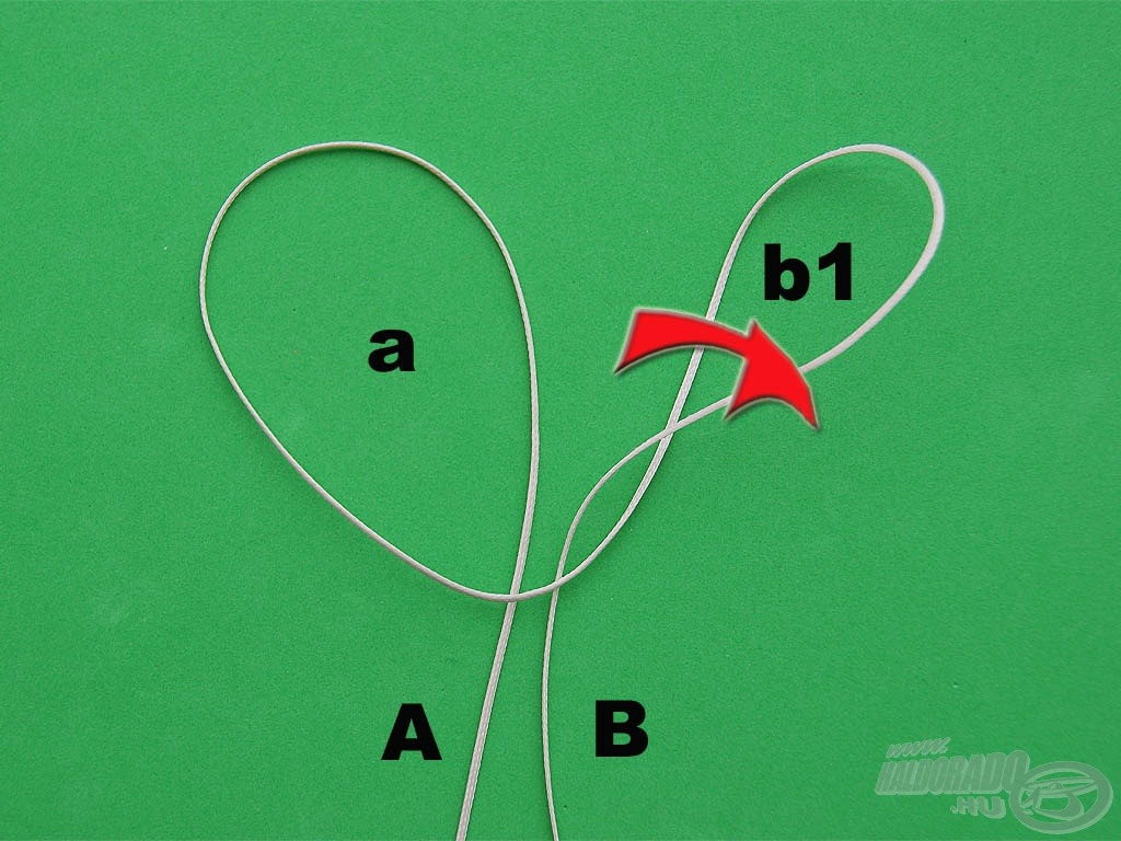 Az újonnan kapott „a” és „b” hurkokat egy-egy tekeréssel tovább osztjuk. Megkaptuk az újabb, „b1” jelű hurkot