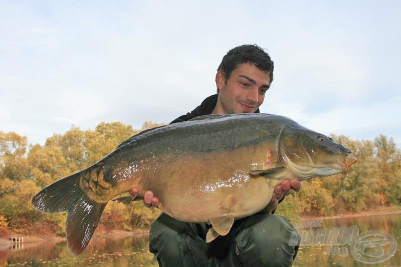 Frederic 11 kg-os tükörpontya