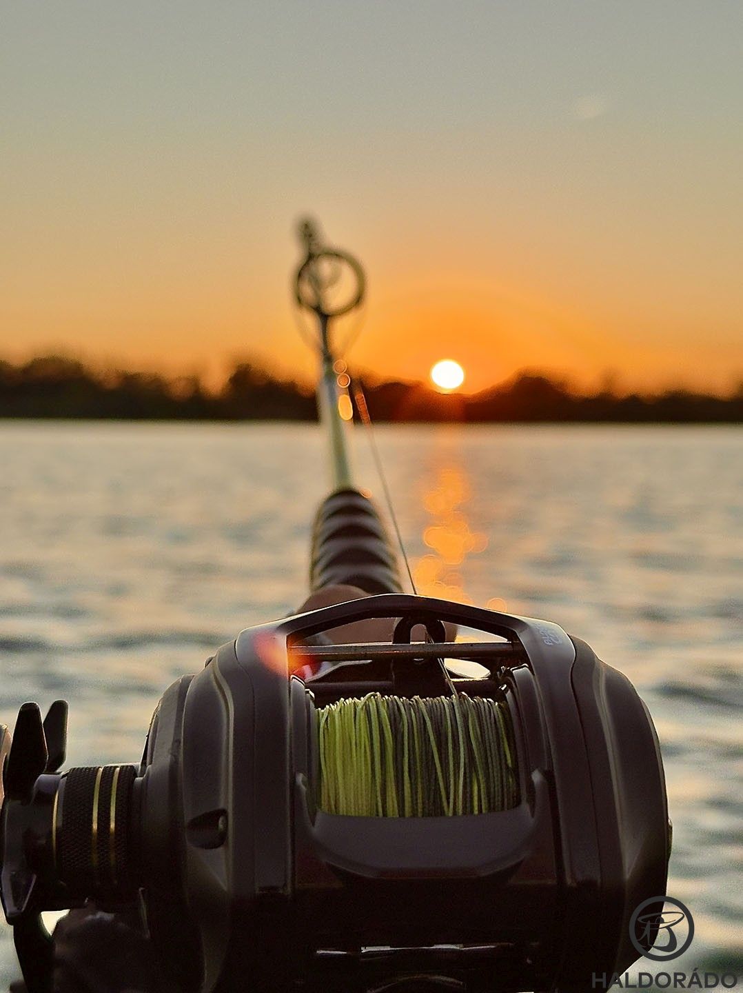 Kora reggeltől késő estig, majd éjszaka is próbálkoztam, mindhiába. A lehűlő víz (látszólag) inaktívvá tette a harcsákat