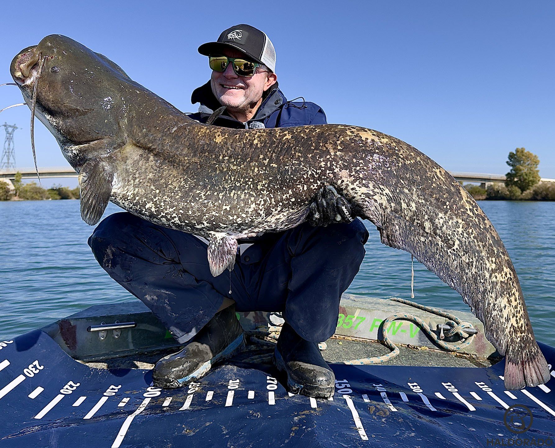 Nagyon sokat dolgoztam ezért a halért, és hogy végül ez a fotó elkészülhetett! Nem az a csúnya nagy, de legalább őt megfogtam