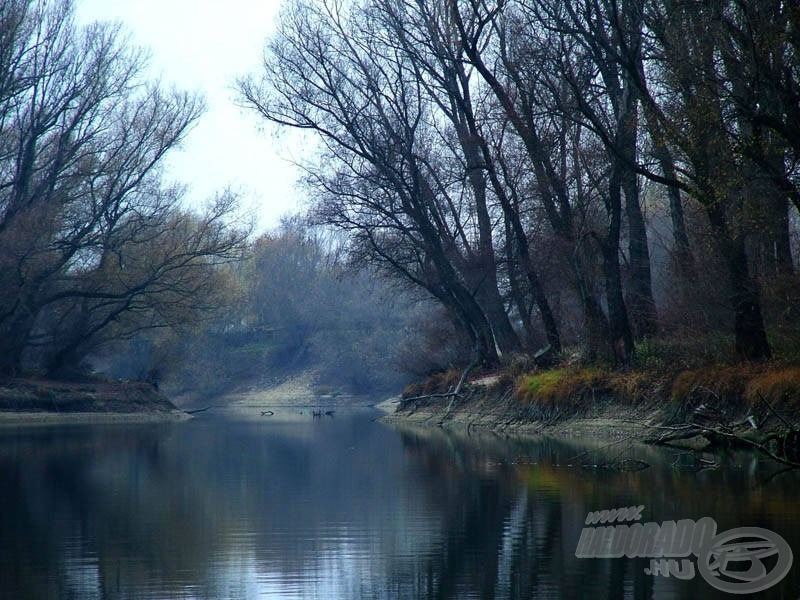 Novemberi Háros