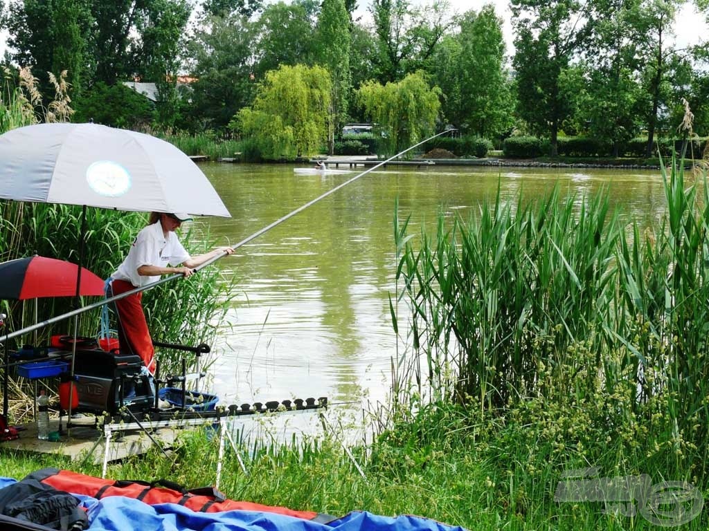 Nem volt egyszerű feladat egy-egy jobb halat szákba terelni!