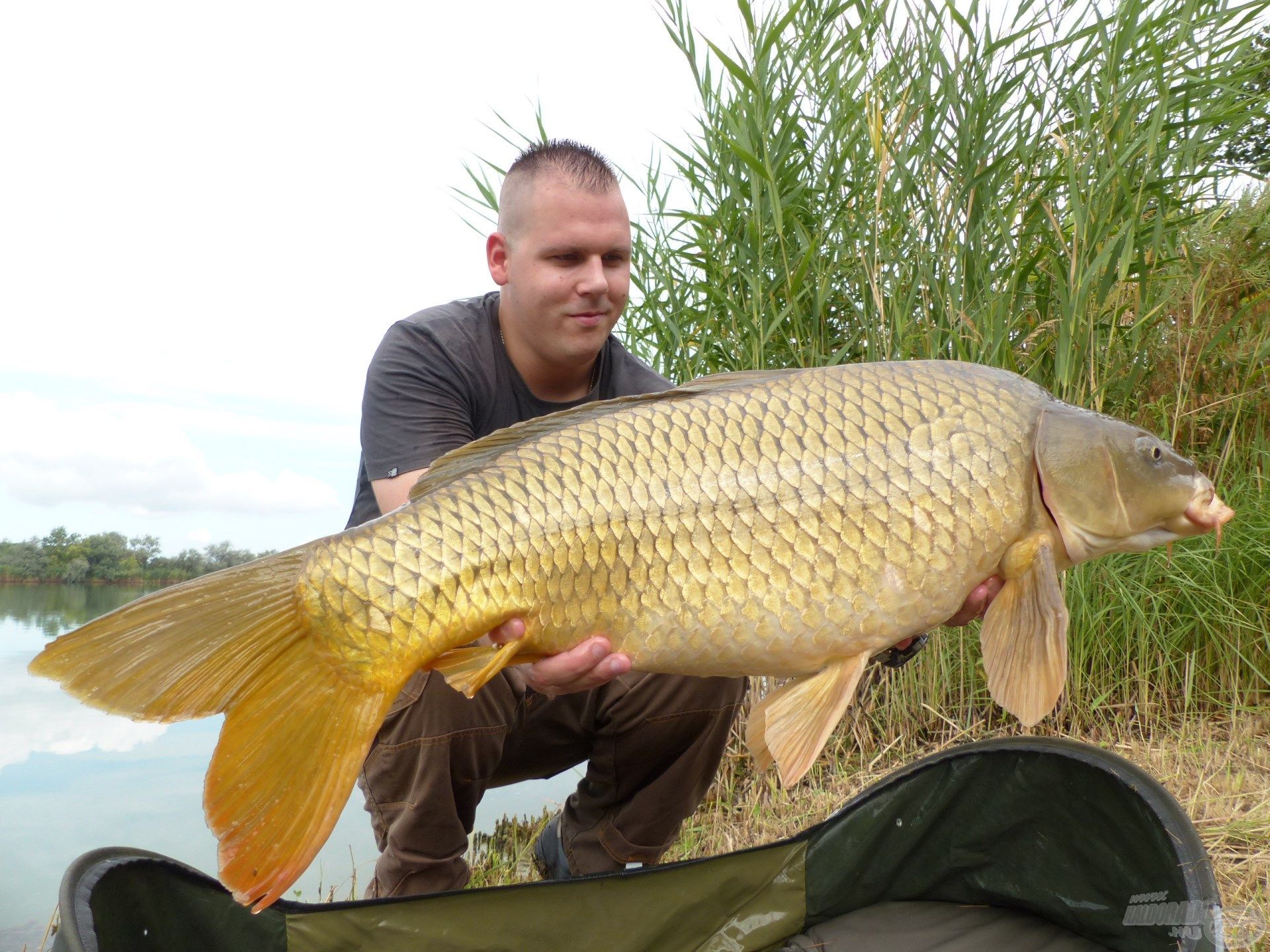 … ezt a minden szögből hibátlan, 10 kg feletti tőpontyot