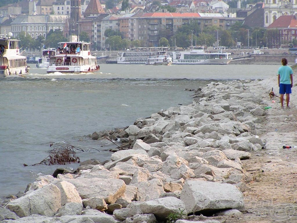 Ez az a kép, mely megmutatja igazán a fővárosi dunai horgászat nehézségeit! Itt aztán minden van egyszerre: hajóhegyek, a part tele faágakkal, uszadékkal, kőrengeteg (amúgy igazi géb paradicsom…), végig szemetes partszakasz és az elmaradhatatlan kutyasétáltatók. Kedves horgásztársaim! Azt hiszem, bátran kijelenhetjük, hogy ide kell ám a kitartás!