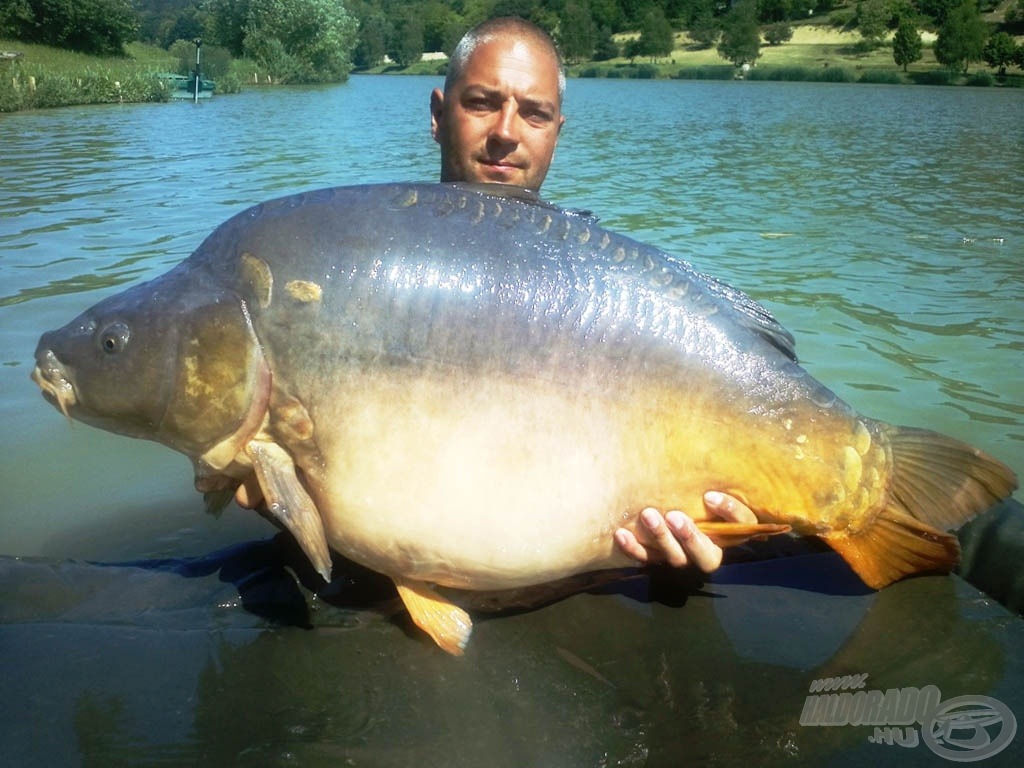 Ugyanaz a hal fél kilóval nehezebben (23,50 kg) májusban