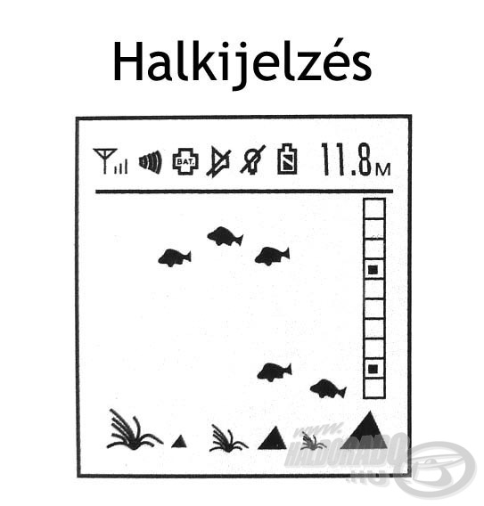 A halak jelenlétéről is tudomást szerezhetünk