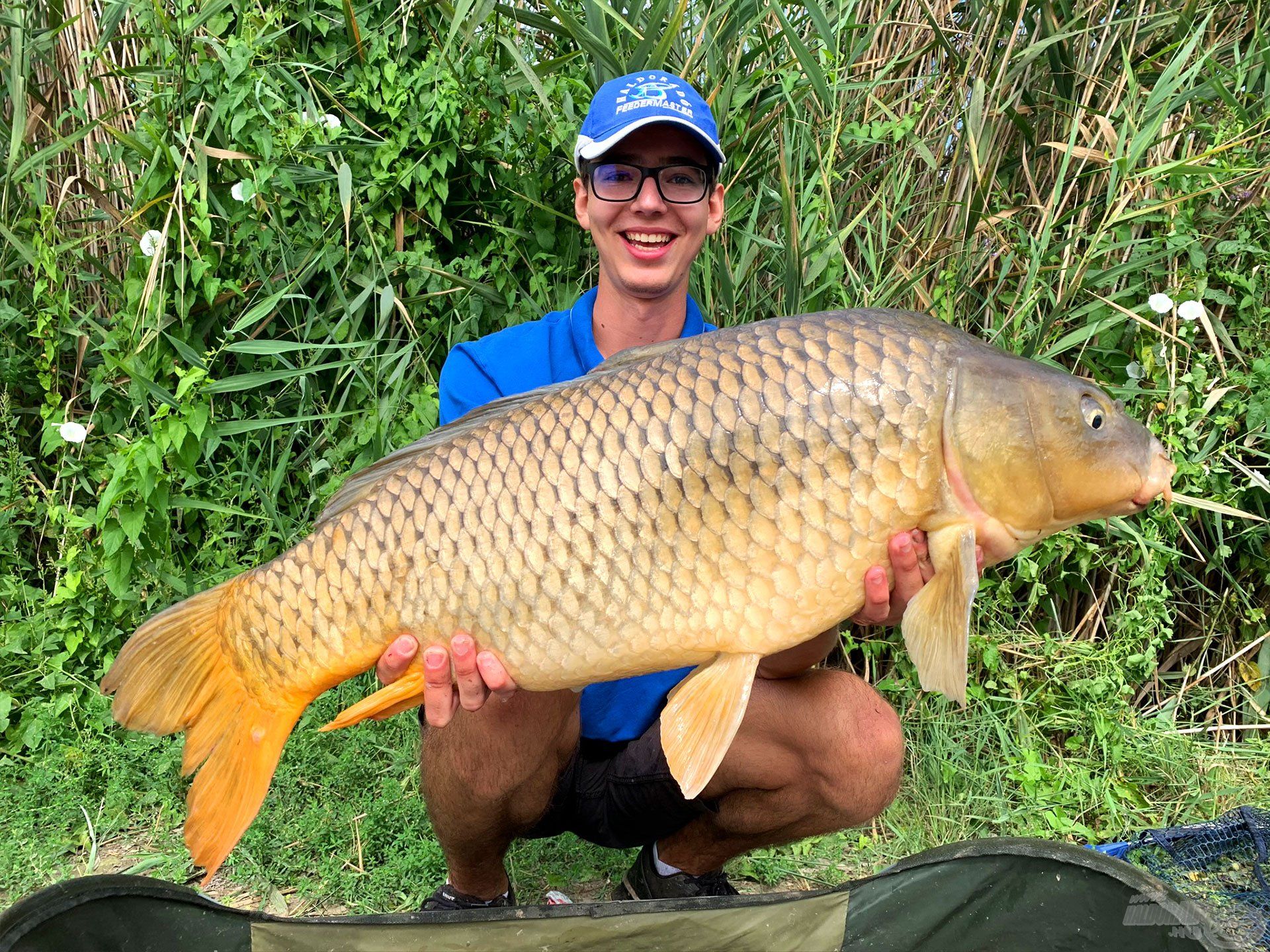 Bőven 10 kg feletti, gyönyörű ponty