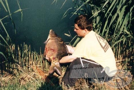 A bojlis horgászat egésze a hal visszaengedésével teljesül be