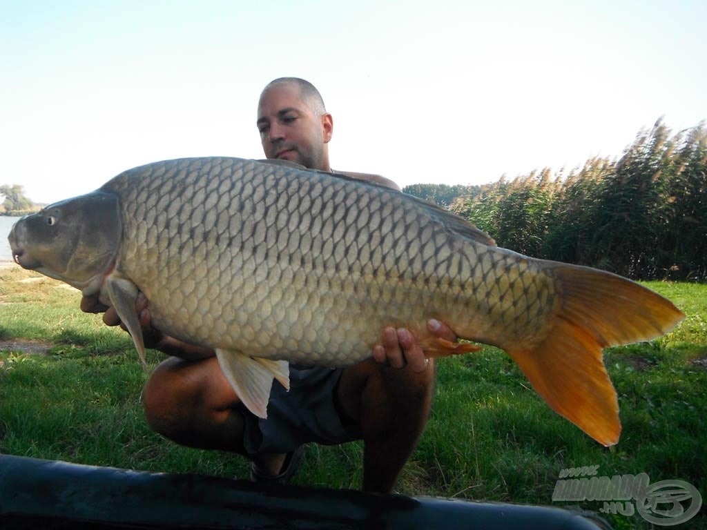 A túra első pikkelyese 15,30 kg-os volt