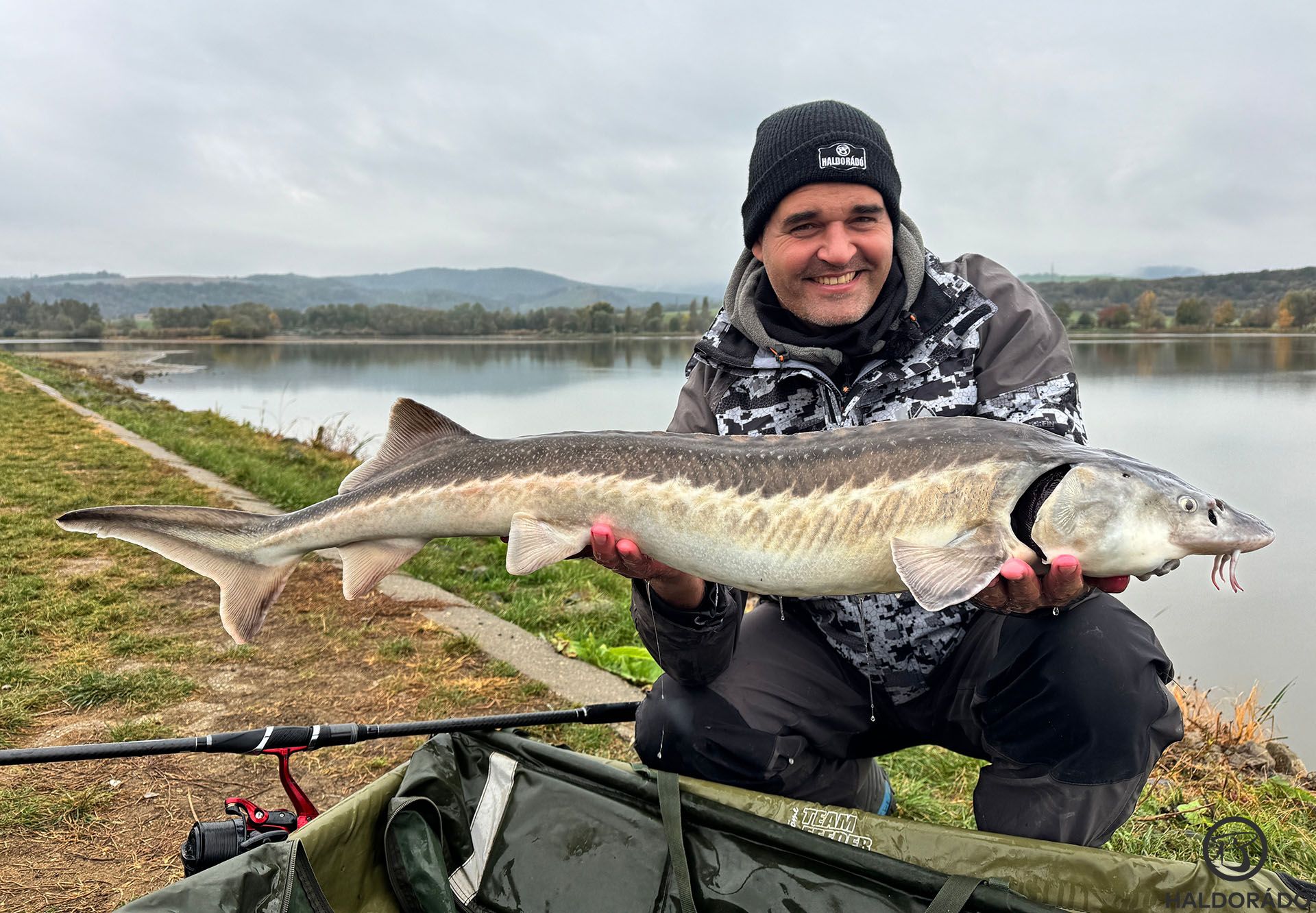 Első halam egy szép tok volt