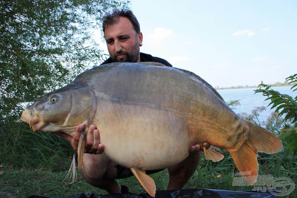 Az első komolyabb halam a tóról, 19,5 kg