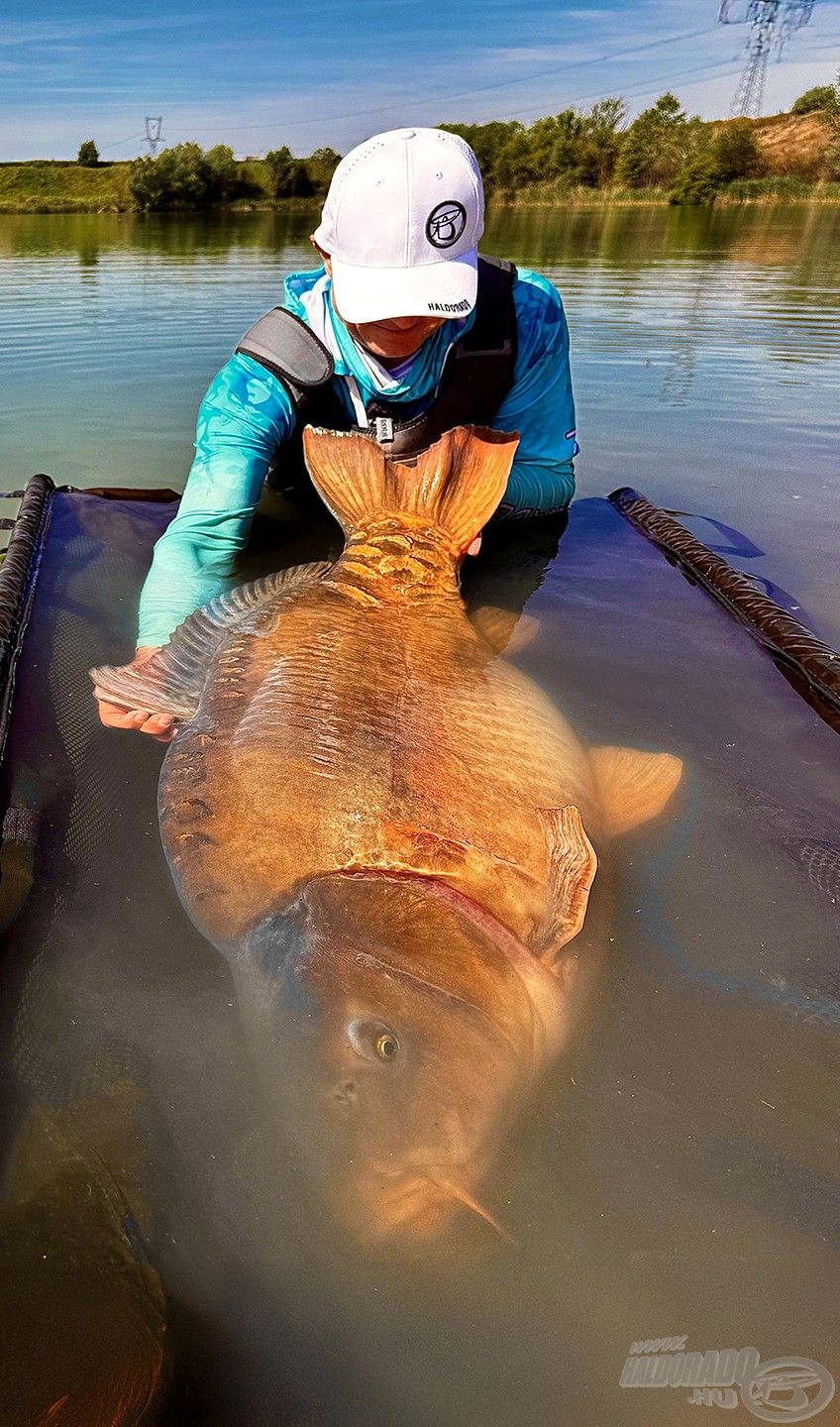 A hatalmas tükörponty 30,73 kg-ot nyomott!!!