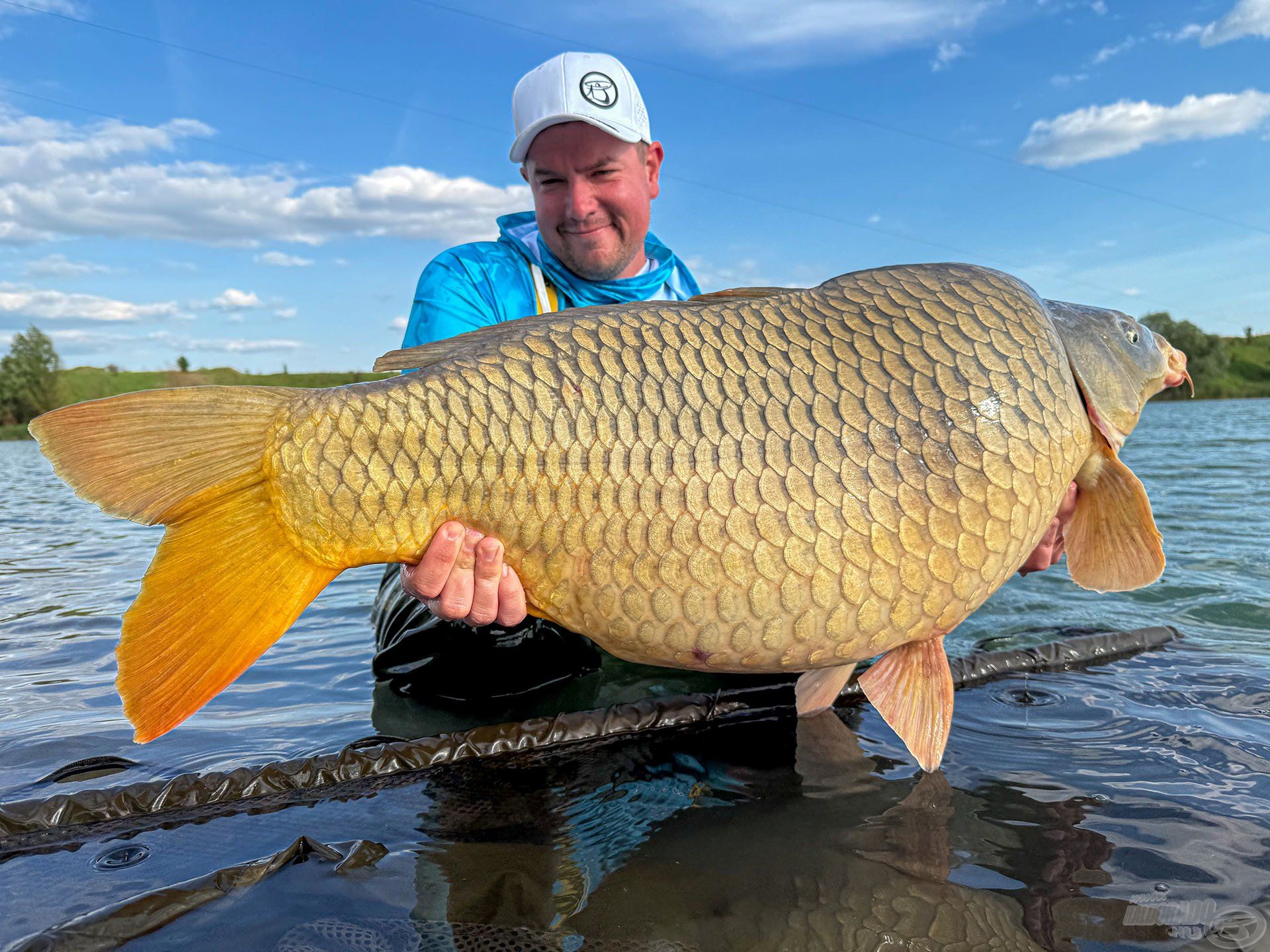 Peti újabb bitang tövese, bőven 20 kg felett!