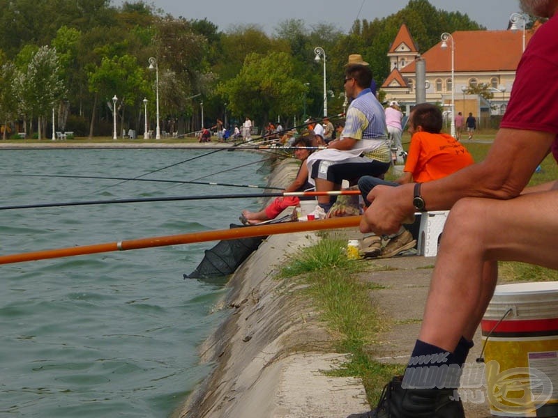 Szemben a „C” szektor