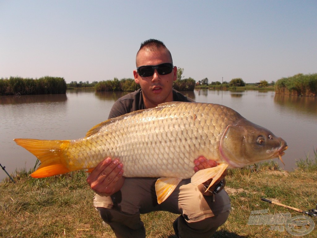 A nap második nagytestű hala, 7,88 kg