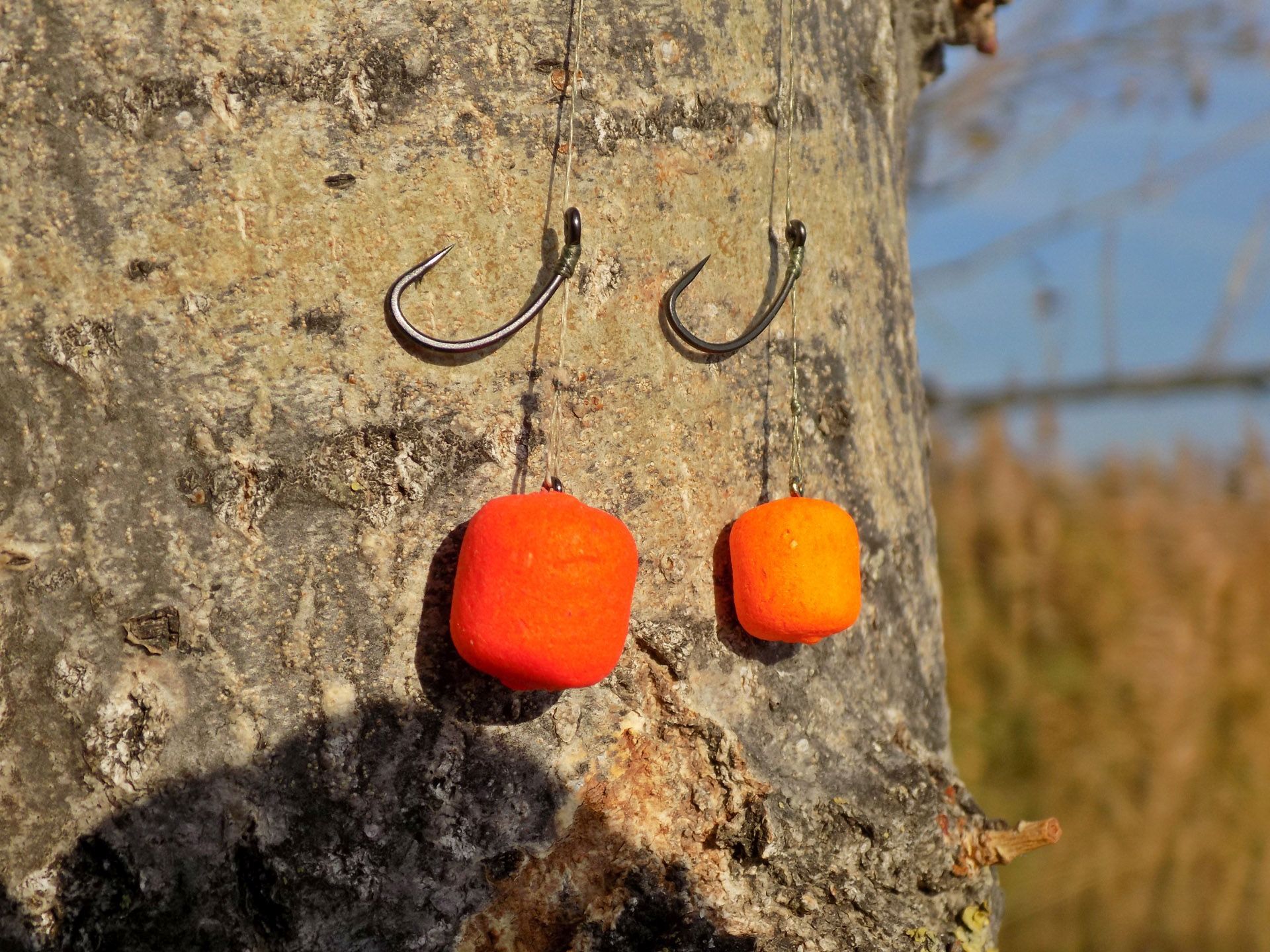 A csalik felkínálásához 12-es méretű Gardner Covert Mugga horgokat használtam, amik 0,10 mm vastagságú Haldorádó Braxx Pro előkezsinórra kerültek. A csali-horog pozíció így hibátlan, ami az esetek 99%-ában biztos akadást eredményezett