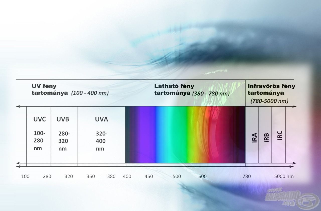 Az ultraibolya sugárzás lassan, fájdalommentesen - nem érezzük azonnal kártékony hatását -, de fokozatosan roncsolja szemünket