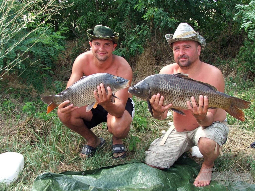 A csapatmunka eredménye