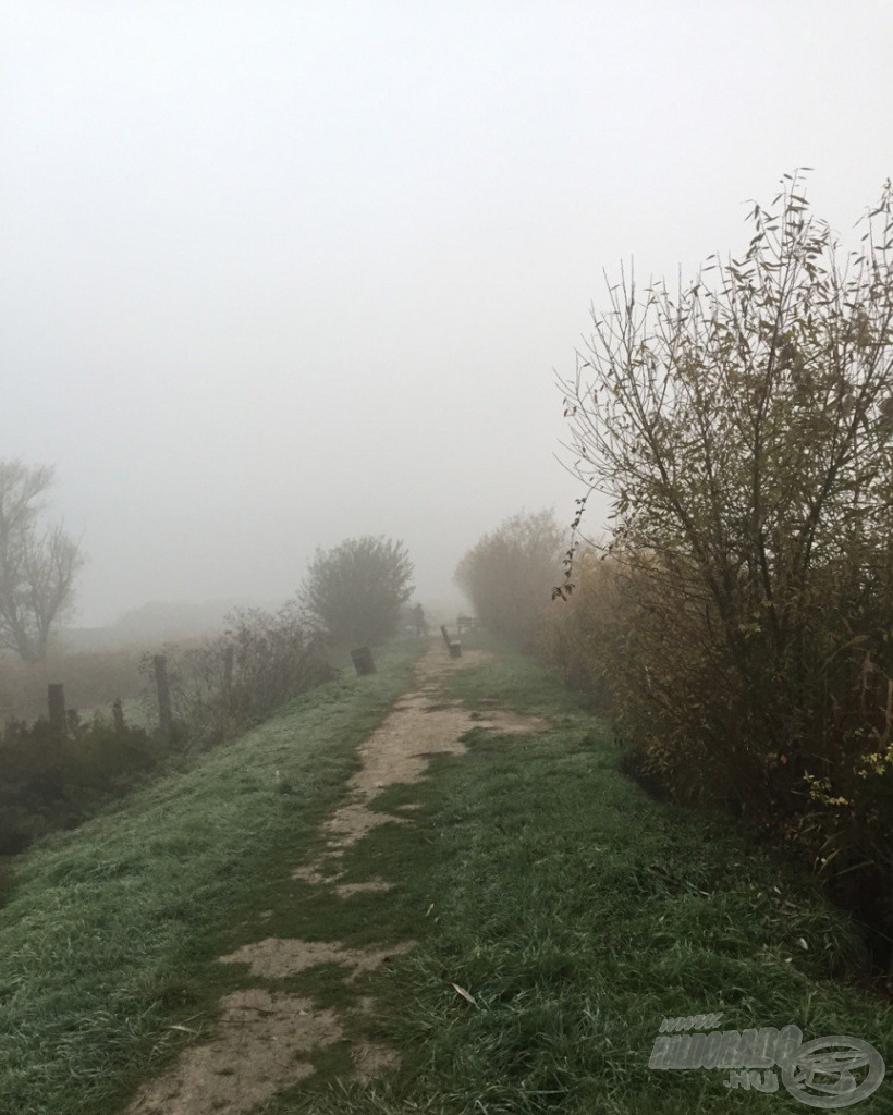 Ez a köd fogadott a parton, ám nem gondoltam, hogy fokozni fogja sűrűségét a horgászat megkezdéséig