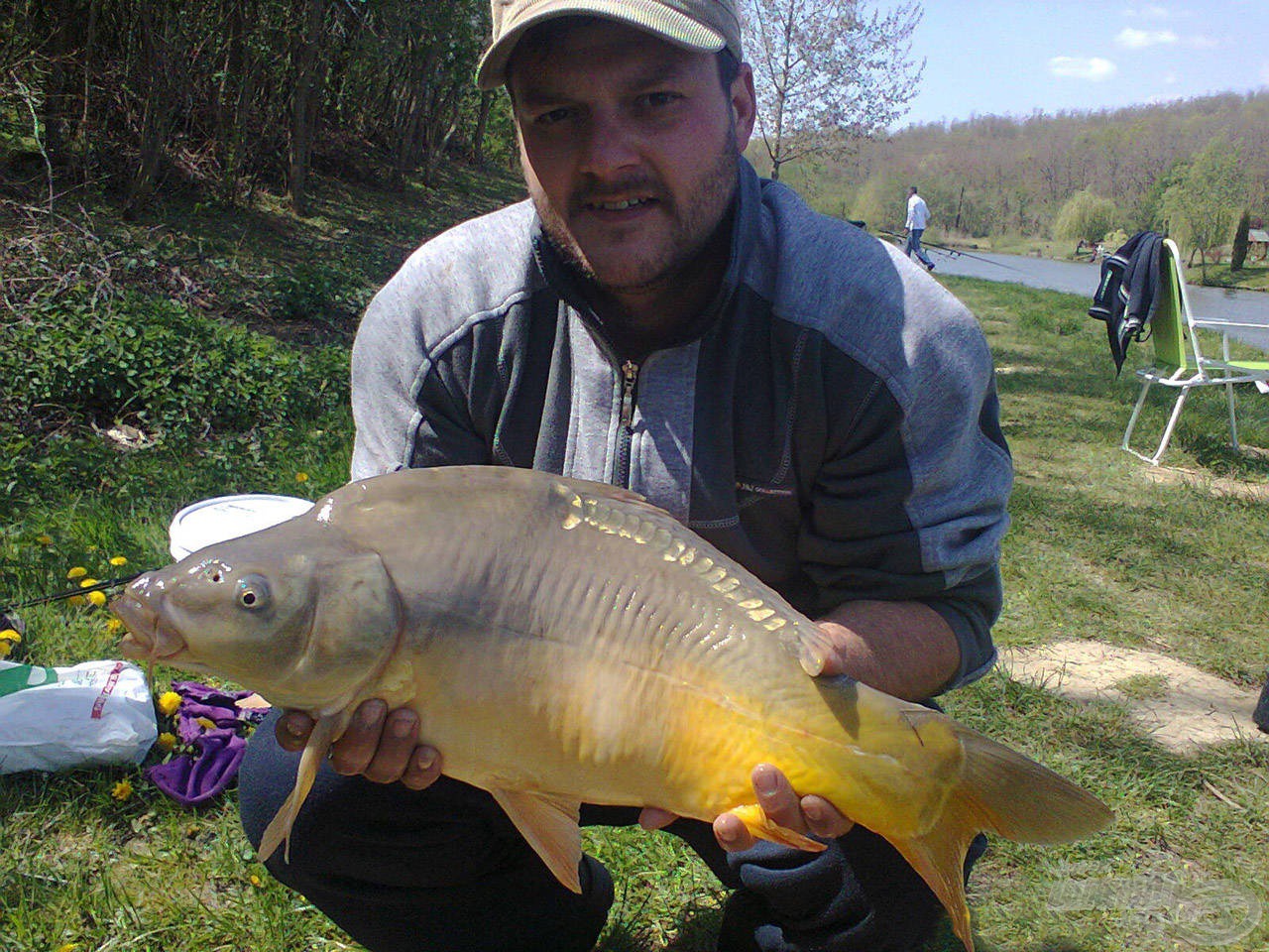 Feederbottal fogott hibátlan 4 kg-os tükörponty