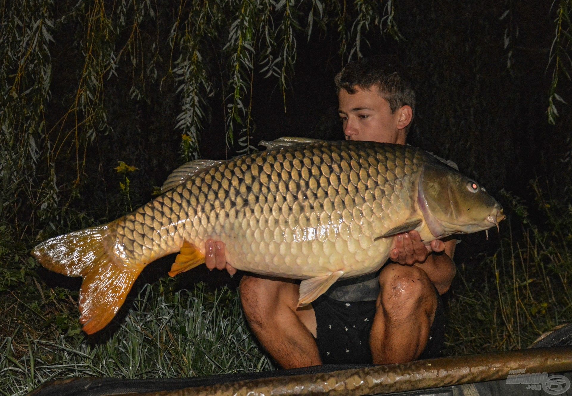 Ő tavaly is meglátogatott, most viszont már 16 kg feletti súllyal