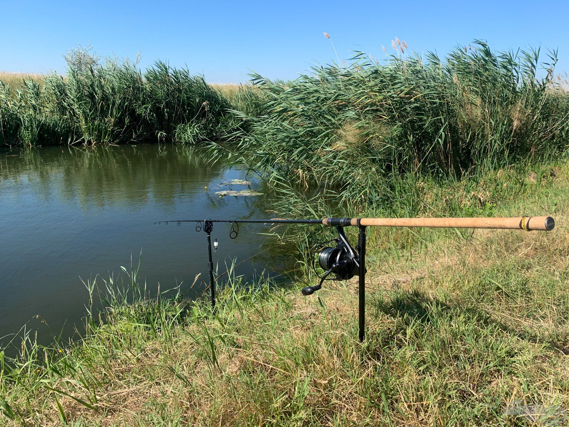 A Carp Academy Endless botot 3,6 méteres hosszban, 3,5 lb erősségben és a hozzá passzoló Endless orsóval használtam