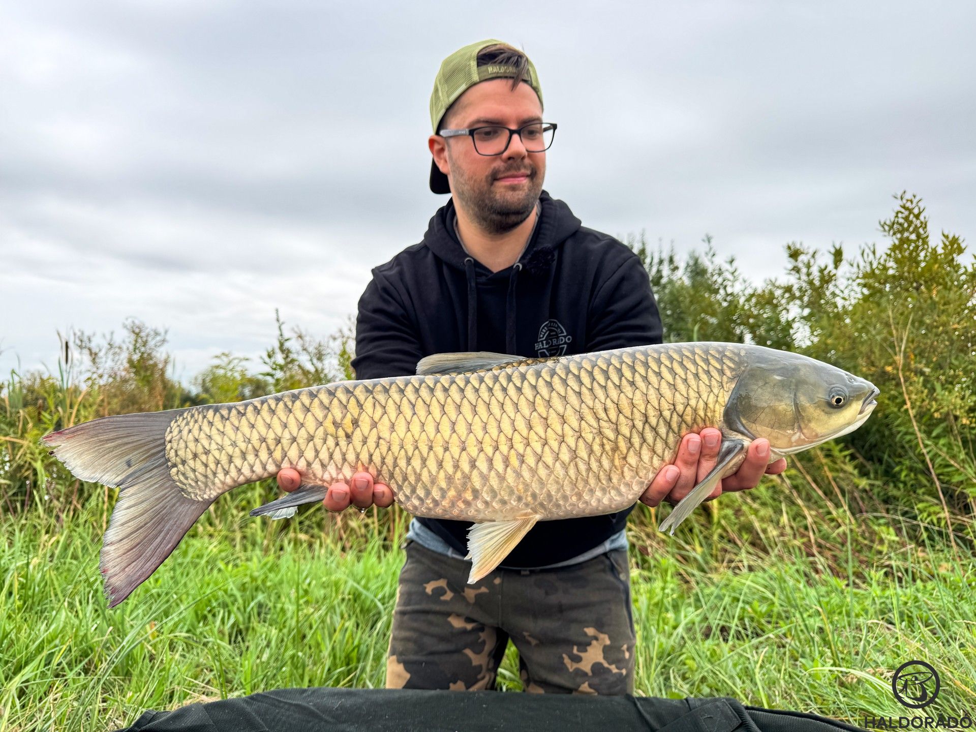 Egy amur volt a tettes, mely ritka a nappali órákban itt