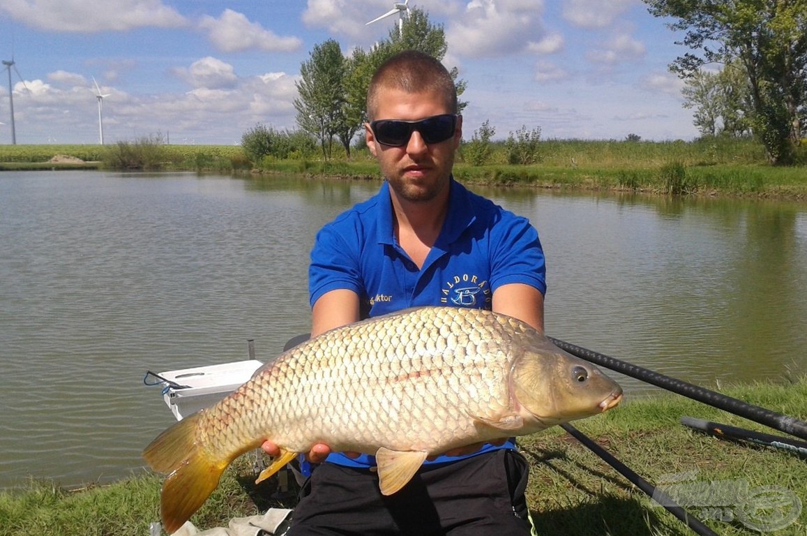 5,20 kg-os, erőtől kicsattanó töves